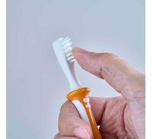 Cepillos Dentales - Set De Aprendizaje - 3 Pasos