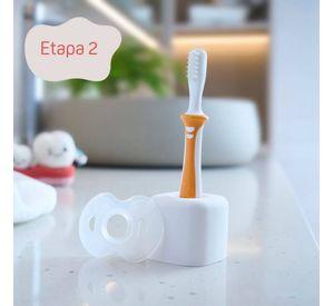 Cepillo Dental De Aprendizaje Naranjo Paso 2