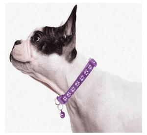Pack De 3 Collares Con Cascabel Para Mascotas Gatos Perros Azul Claro/ Verde/ Rojo