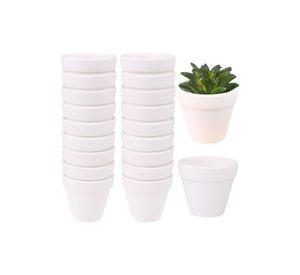 Set 6 Macetero Mini Suculentas Jardinería Cultivo Jhn