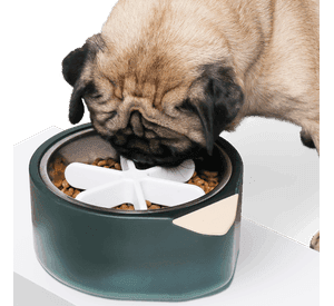Pidan Accesorio Alimentaci n Lenta Tama o L Para Mascotas