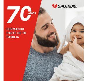Calefont 13 litros Gas licuado Tiro forzado Splendid
