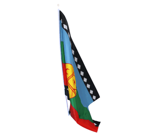 Bandera Mapuche 90 X 60 Cm