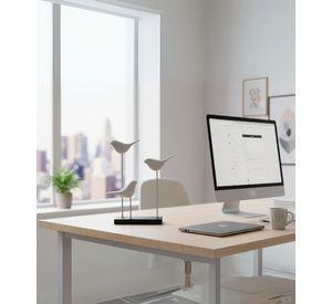 Figura Decorativa Aves Minimalista Naturaleza Hogar Jhn