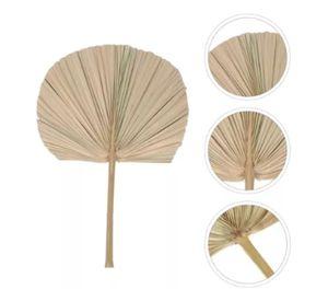 Set de 3 Abanico Grande Hojas Palma Natural Decoración Jhn