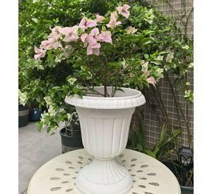 Set 2 Macetero Decorativo Romano Compacto Liviano Jhn