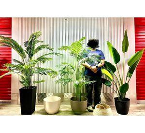 Planta Artificial Decorativa Arbol Grande Banano 120cm 12hjs