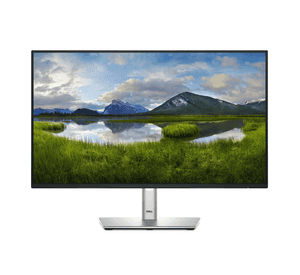 Monitor Dell P2425H Full HD 23.8"