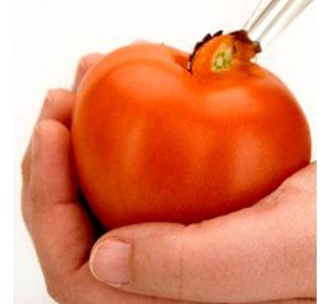 Descorazonador Tomate 12 Pcs