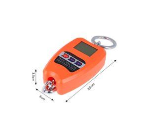 Mini Balanza Electrónica Digital Portátil Colgante Alta Precisión