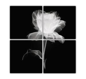 Cuadro Acuarela De Rosa Fotografía De Rayos X 4 160x160 Cm