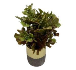Set 2 Plantas Artificiales Decorativas Macetero Bicolor Jhn