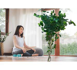 Árbol Artificial Realista Ficus Trenzado 120cm Jhn