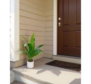 Planta Decorativa Artificial Diseño Tropical Hogar Jhn