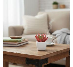 Set 2 Planta Artificial Decorativa Mini Suculenta Adorno Jhn