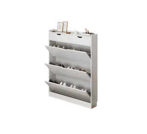 Zapatero Organizador con 3 Puertas y 2 Cajones