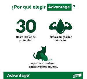 Anti-parasitario Gatos Advantage 4 a 8kg (0.8ml)