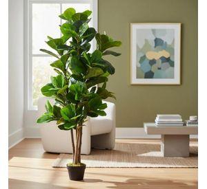 Planta Artificial Decorativa Arbol Grande Ficus Lyrata 150c